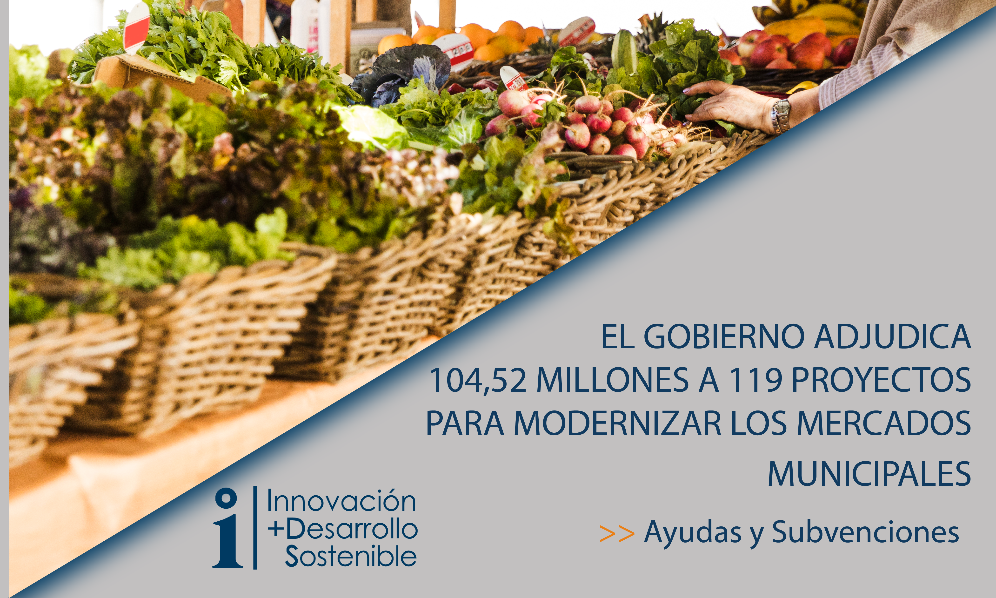 Lee más sobre el artículo Ayudas Sector Comercial (Mercados Municipales)
