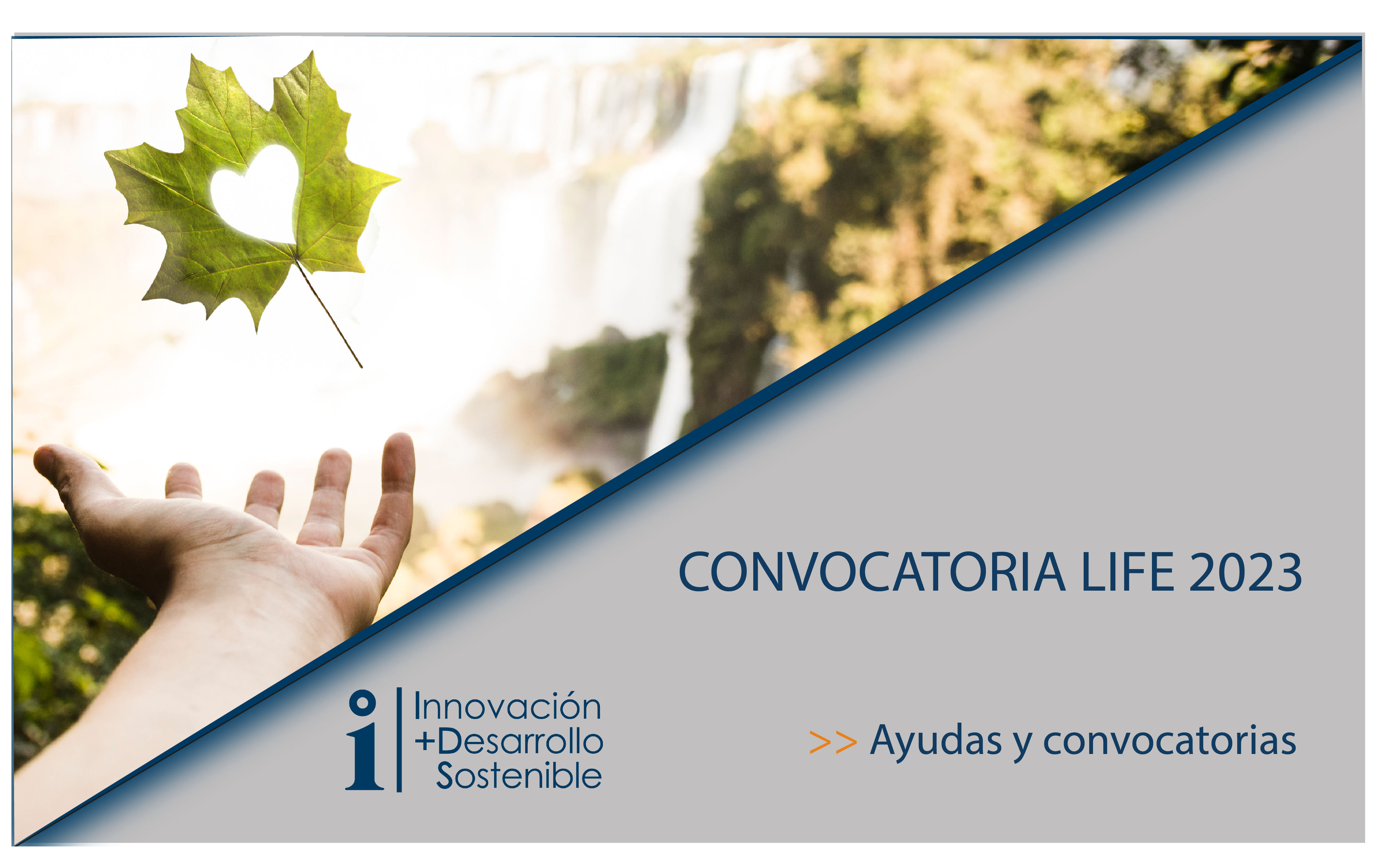Lee más sobre el artículo CONVOCATORIA LIFE 2023