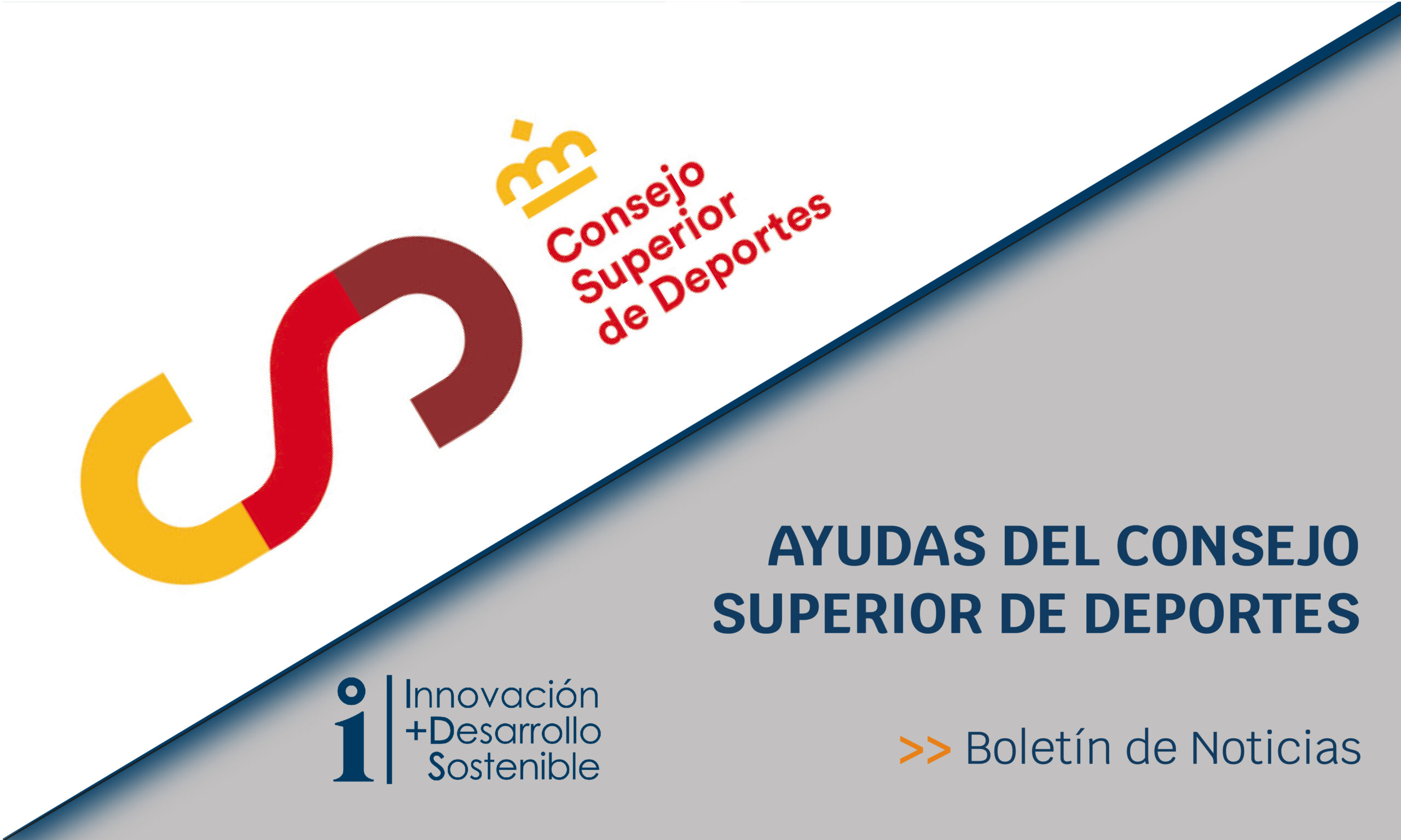 Lee más sobre el artículo Ayudas del Consejo Superior de Deportes